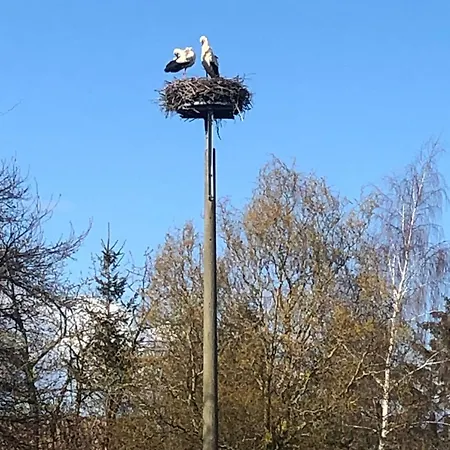 شقة Am Storchnest