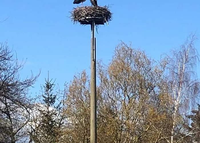 Apartment Am Storchnest